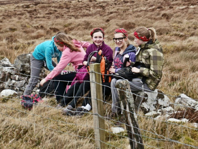 CairnTableMar2012_2